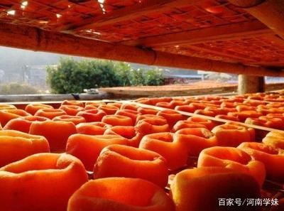 桂林最全旅游攻略 去桂林旅游必打卡的7個景點