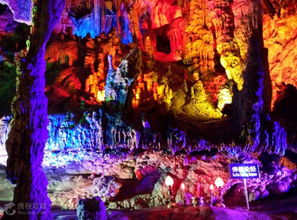 攝影之旅 桂林4日3晚跟團游全景深度體驗